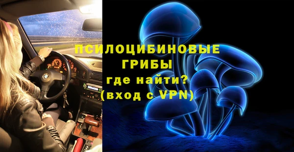 прущая мука Надым