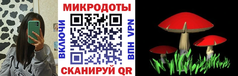 Псилоцибиновые грибы ЛСД Навашино